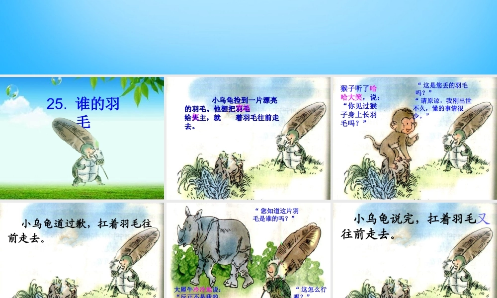 二年级语文上册《谁的羽毛》课件3 语文A版-语文A版小学二年级上册语文课件