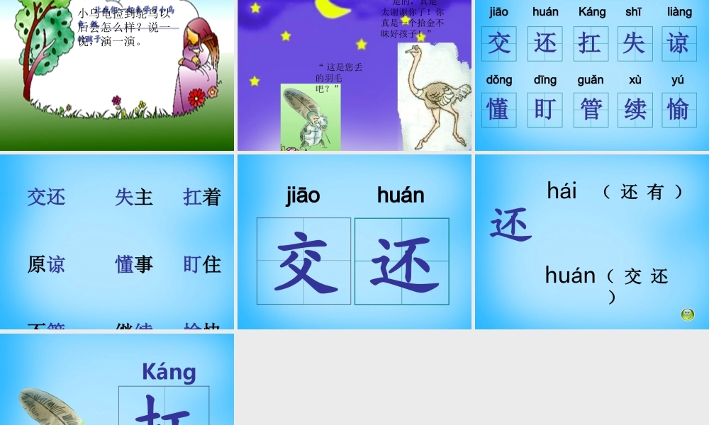 二年级语文上册《谁的羽毛》课件3 语文A版-语文A版小学二年级上册语文课件