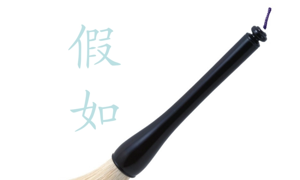 二年级语文下册 第3单元 10《假如》课件5 语文S版-语文S版小学二年级下册语文课件