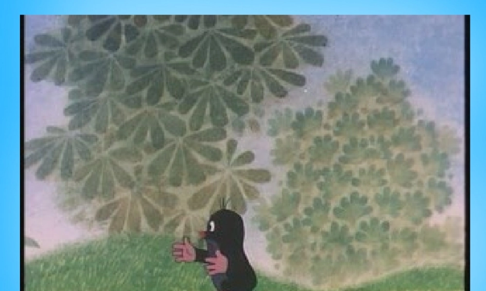 二年级语文上册《谁的羽毛》课件4 语文A版-语文A版小学二年级上册语文课件