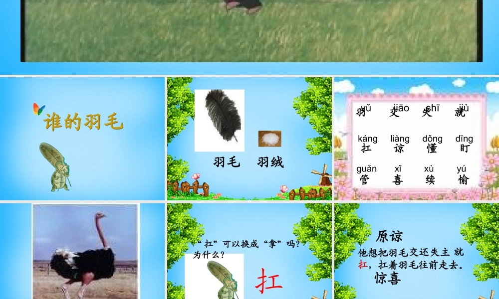 二年级语文上册《谁的羽毛》课件4 语文A版-语文A版小学二年级上册语文课件