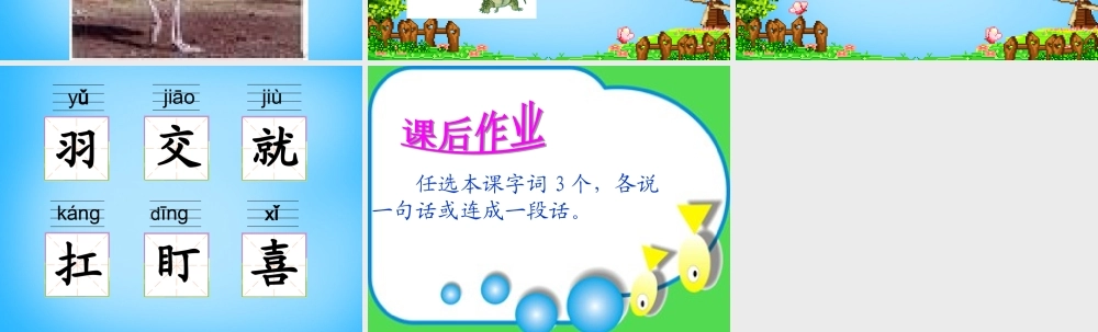 二年级语文上册《谁的羽毛》课件4 语文A版-语文A版小学二年级上册语文课件