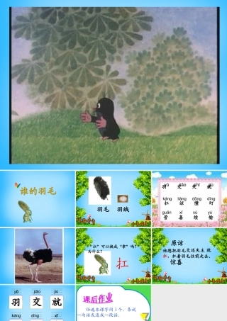 二年级语文上册《谁的羽毛》课件4 语文A版-语文A版小学二年级上册语文课件