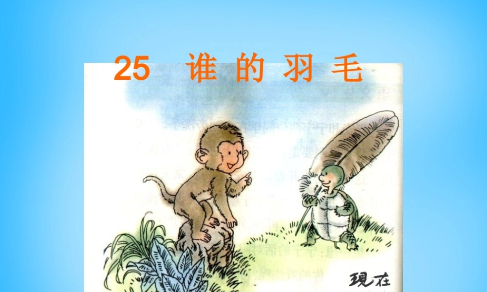 二年级语文上册《谁的羽毛》课件5 语文A版-语文A版小学二年级上册语文课件