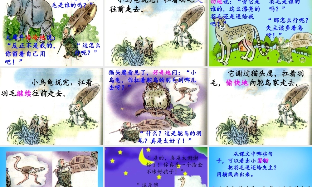二年级语文上册《谁的羽毛》课件6 语文A版-语文A版小学二年级上册语文课件