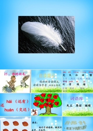 二年级语文上册《谁的羽毛》课件6 语文A版-语文A版小学二年级上册语文课件