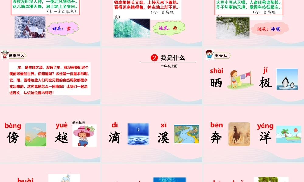 二年级语文上册 课文1 2 我是什么教学课件+素材 新人教版