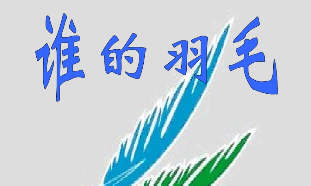 二年级语文上册《谁的羽毛》课件7 语文A版-语文A版小学二年级上册语文课件
