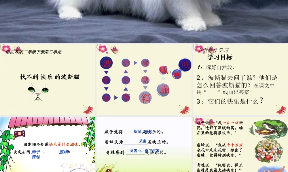 二年级语文下册 第3单元 11《找不到快乐的波斯猫》课件1 语文S版-语文S版小学二年级下册语文课件