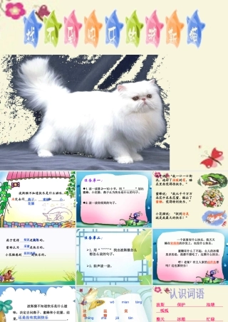 二年级语文下册 第3单元 11《找不到快乐的波斯猫》课件2 语文S版-语文S版小学二年级下册语文课件