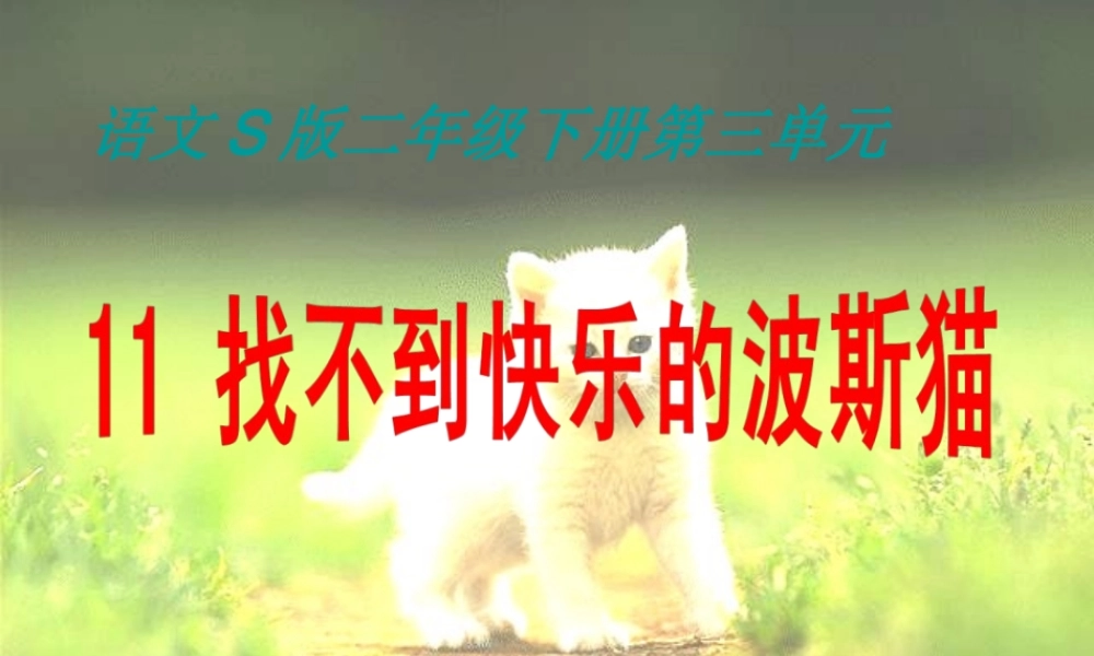 二年级语文下册 第3单元 11《找不到快乐的波斯猫》课件3 语文S版-语文S版小学二年级下册语文课件