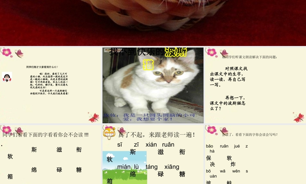二年级语文下册 第3单元 11《找不到快乐的波斯猫》课件5 语文S版-语文S版小学二年级下册语文课件