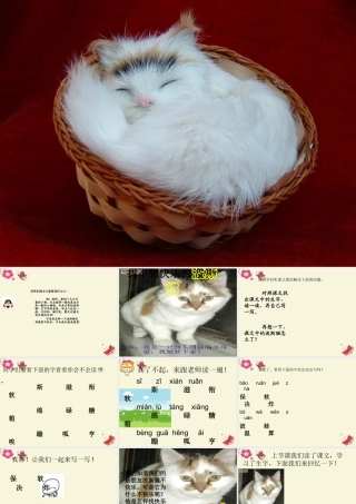 二年级语文下册 第3单元 11《找不到快乐的波斯猫》课件5 语文S版-语文S版小学二年级下册语文课件