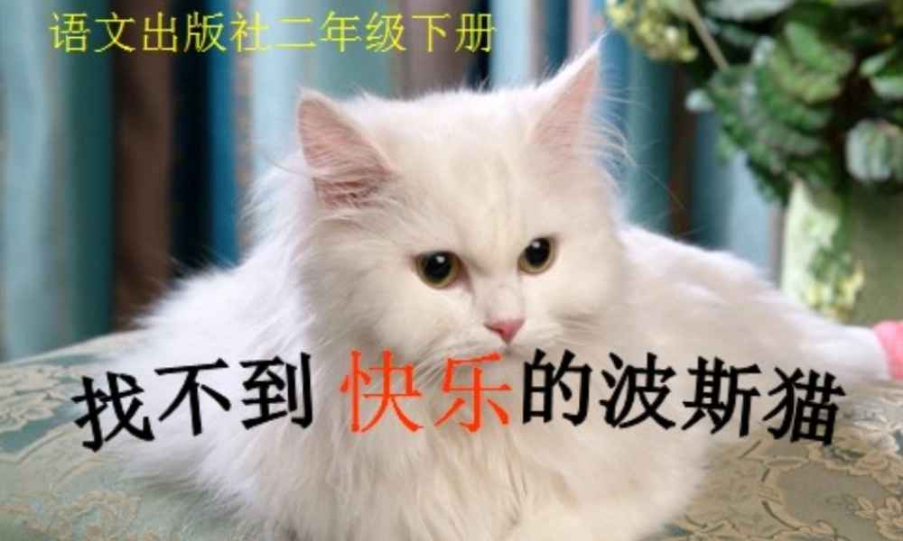 二年级语文下册 第3单元 11《找不到快乐的波斯猫》课件7 语文S版-语文S版小学二年级下册语文课件
