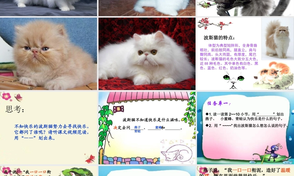 二年级语文下册 第3单元 11《找不到快乐的波斯猫》课件10 语文S版-语文S版小学二年级下册语文课件