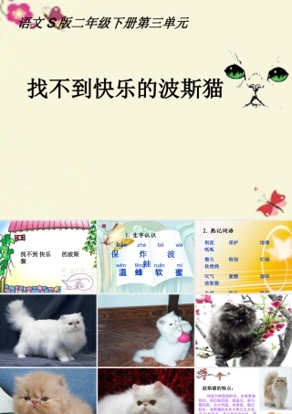 二年级语文下册 第3单元 11《找不到快乐的波斯猫》课件10 语文S版-语文S版小学二年级下册语文课件