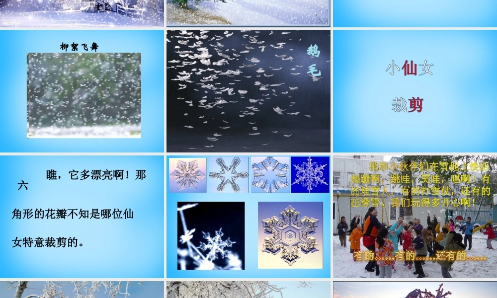 二年级语文上册《雪花》课件3 语文A版-语文A版小学二年级上册语文课件