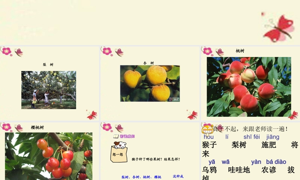 二年级语文下册 第3单元 12《猴子种树》课件2 语文S版-语文S版小学二年级下册语文课件