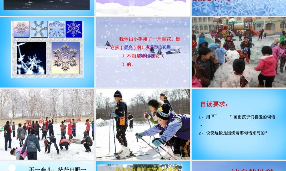 二年级语文上册《雪花》课件5 语文A版-语文A版小学二年级上册语文课件