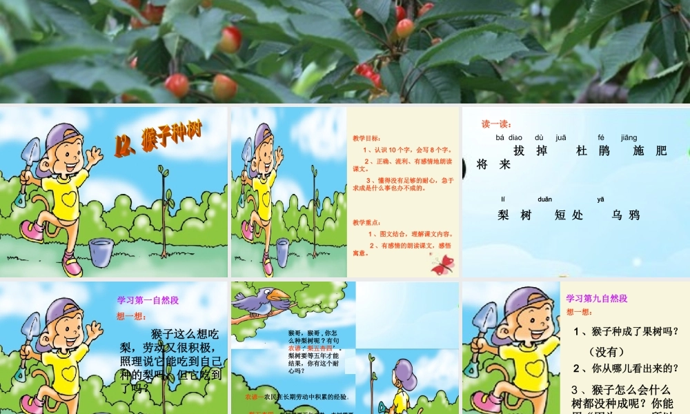 二年级语文下册 第3单元 12《猴子种树》课件3 语文S版-语文S版小学二年级下册语文课件