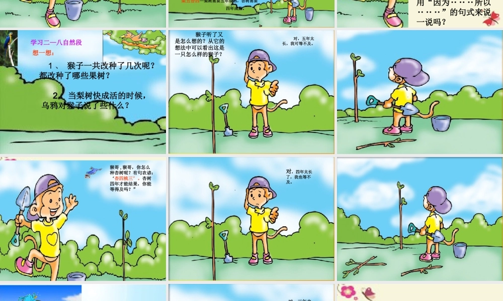 二年级语文下册 第3单元 12《猴子种树》课件3 语文S版-语文S版小学二年级下册语文课件