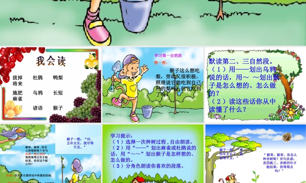 二年级语文下册 第3单元 12《猴子种树》课件5 语文S版-语文S版小学二年级下册语文课件