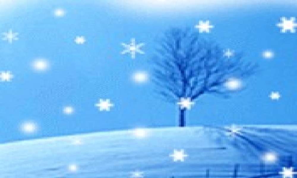 二年级语文上册《雪趣》课件3 长春版-长春版小学二年级上册语文课件