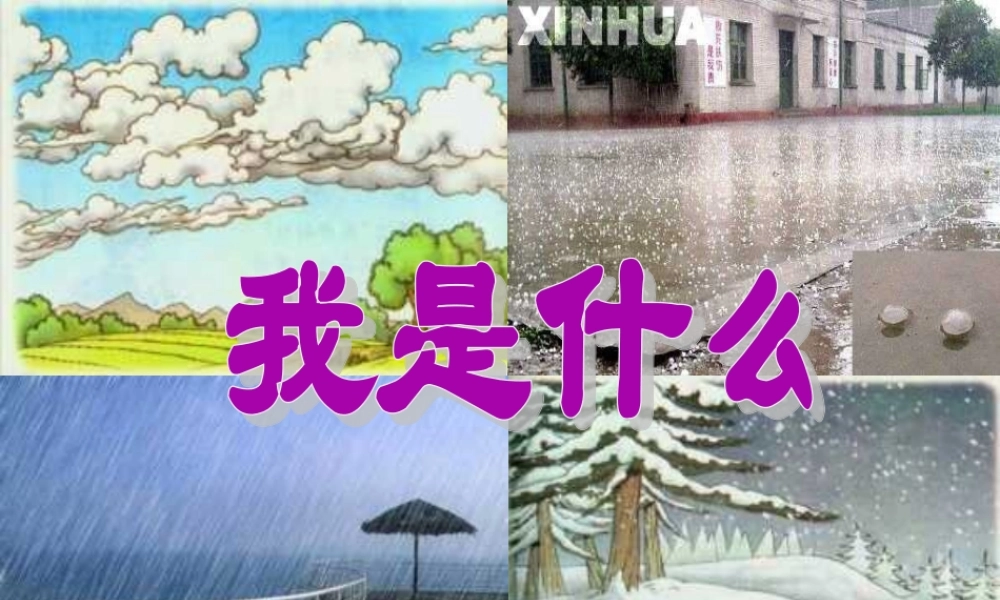 二年级语文上册 课文1 2《我是什么》教学课件2 新人教版-新人教版小学二年级上册语文课件