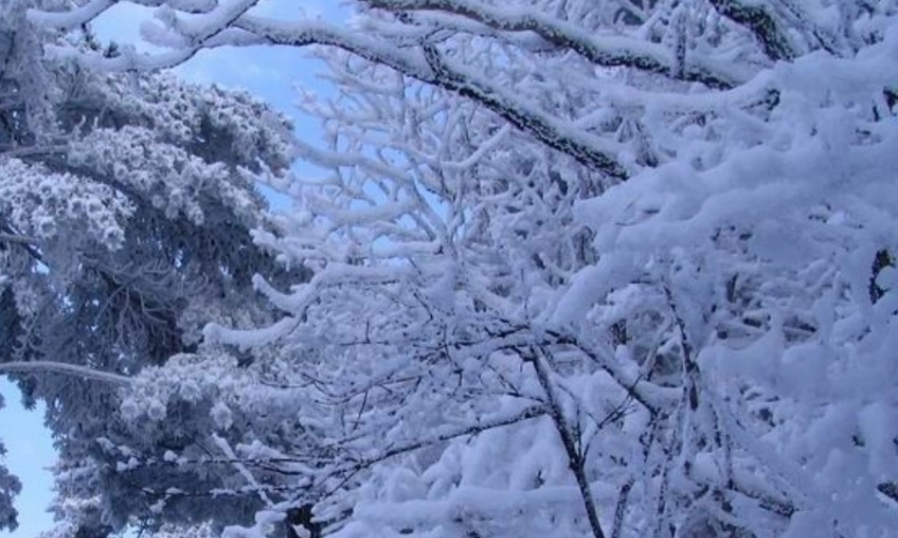 二年级语文上册《遗爱寺》课件4 长春版-长春版小学二年级上册语文课件