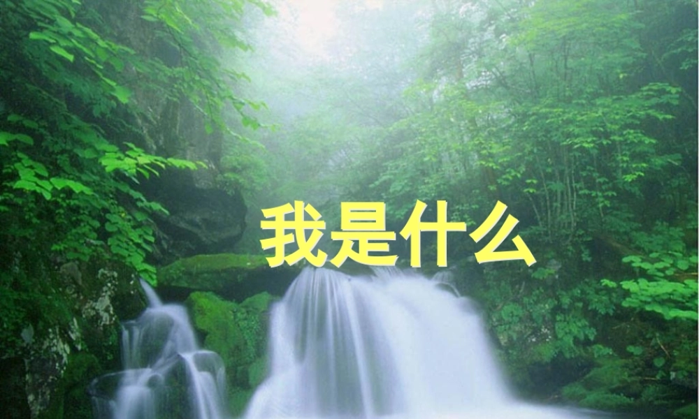 二年级语文上册 课文1 2《我是什么》课堂教学课件2 新人教版-新人教版小学二年级上册语文课件
