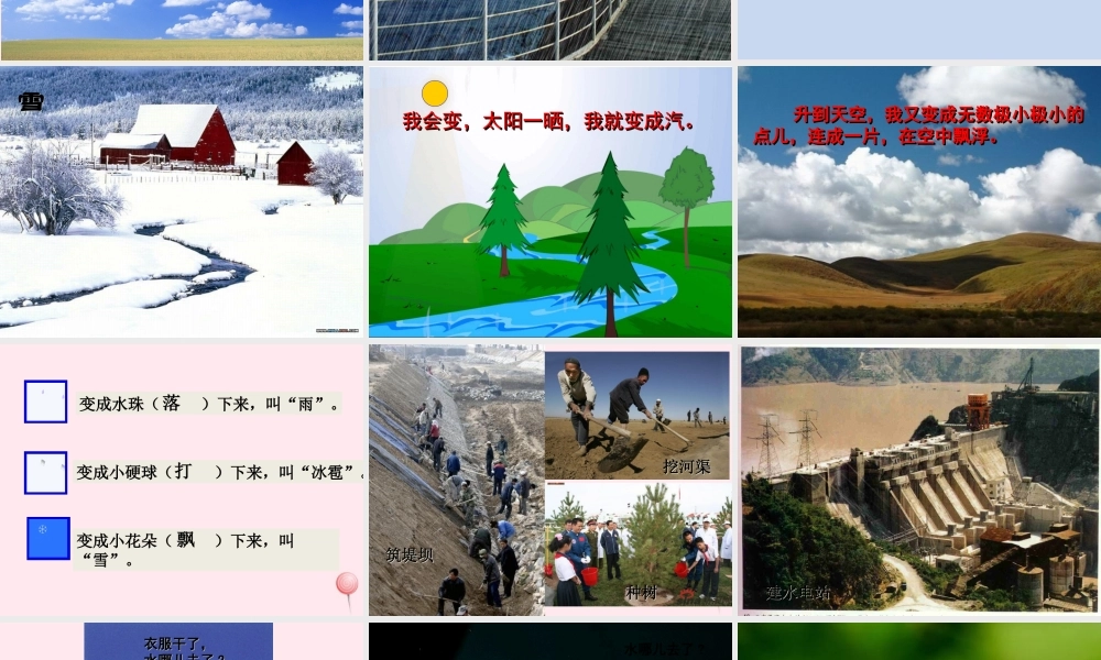 二年级语文上册 课文1 2《我是什么》课堂教学课件2 新人教版-新人教版小学二年级上册语文课件