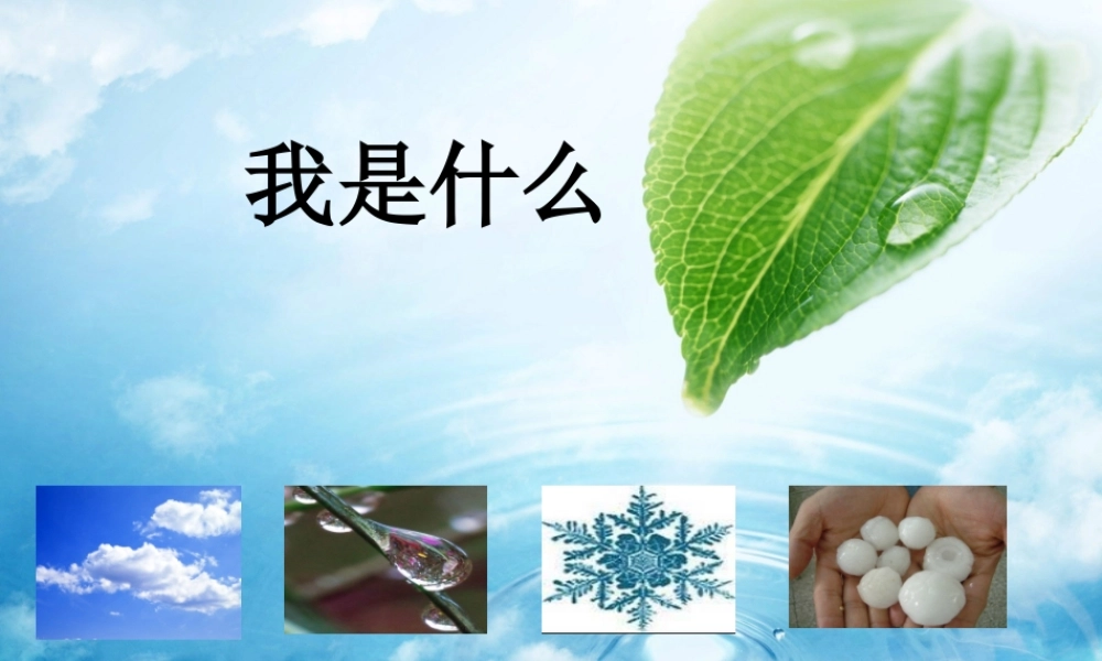 二年级语文上册 课文1 2《我是什么》课堂教学课件3 新人教版-新人教版小学二年级上册语文课件