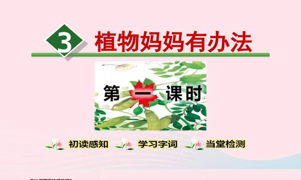 二年级语文上册 课文1 3《植物妈妈有办法》（第1课时）教学课件 新人教版-新人教版小学二年级上册语文课件