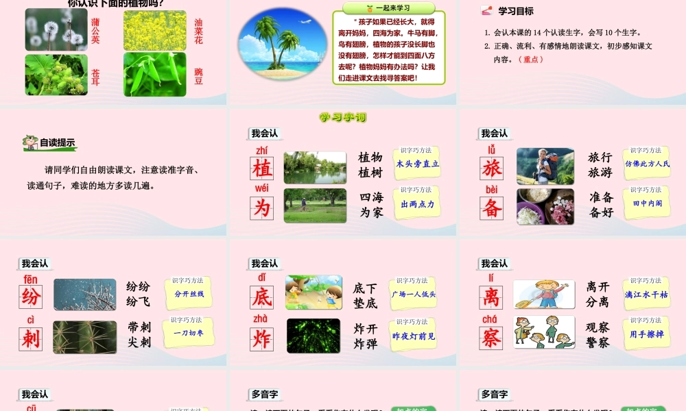 二年级语文上册 课文1 3《植物妈妈有办法》（第1课时）教学课件 新人教版-新人教版小学二年级上册语文课件