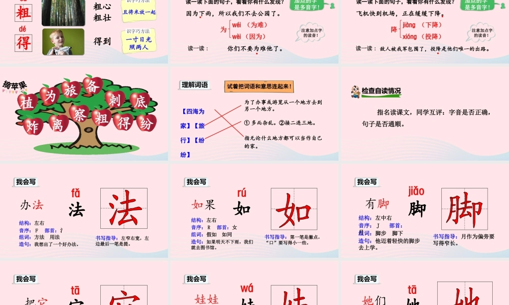 二年级语文上册 课文1 3《植物妈妈有办法》（第1课时）教学课件 新人教版-新人教版小学二年级上册语文课件