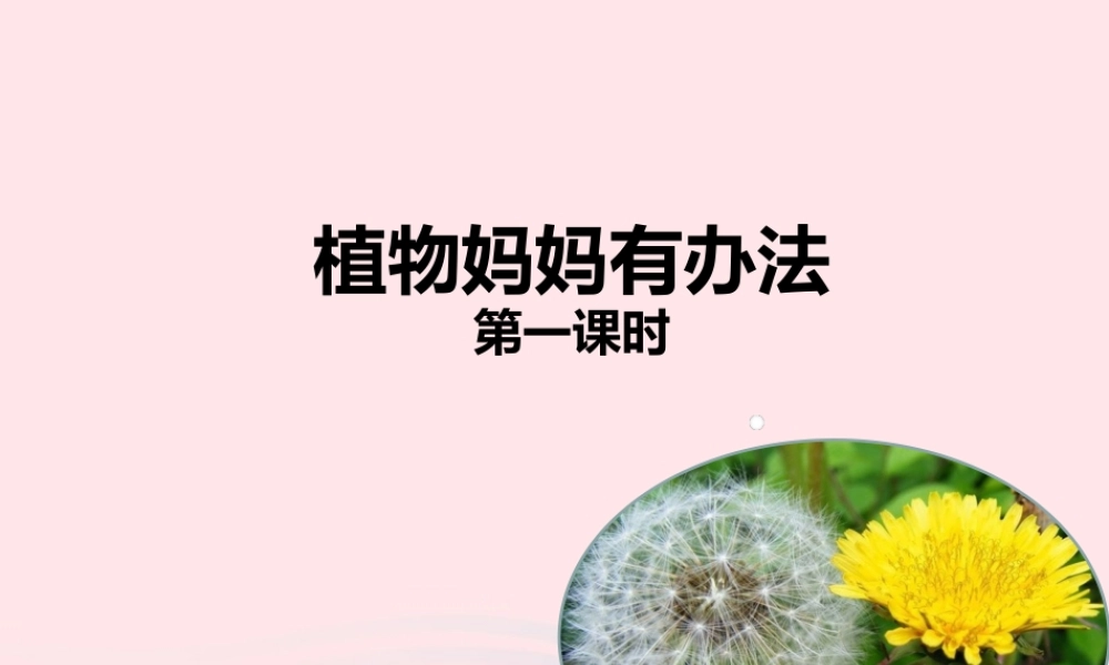 二年级语文上册 课文1 3《植物妈妈有办法》（第1课时）课件 新人教版