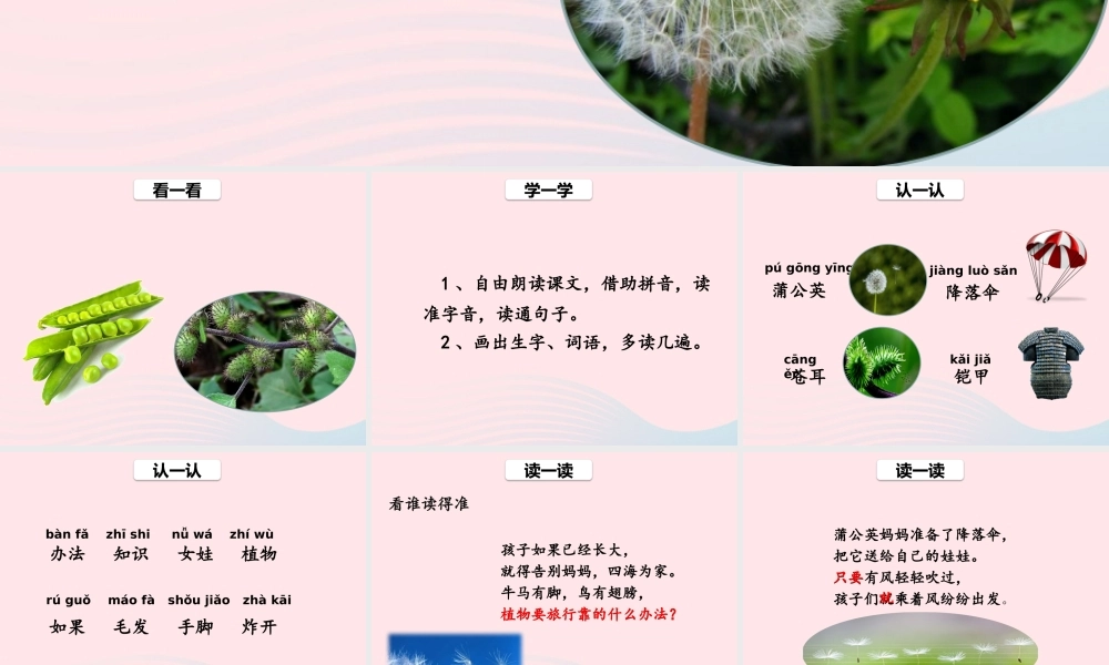 二年级语文上册 课文1 3《植物妈妈有办法》（第1课时）课件 新人教版