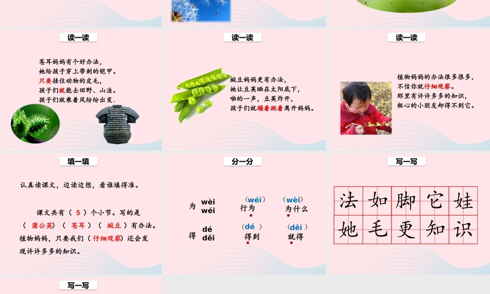 二年级语文上册 课文1 3《植物妈妈有办法》（第1课时）课件 新人教版