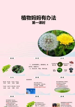 二年级语文上册 课文1 3《植物妈妈有办法》（第1课时）课件 新人教版