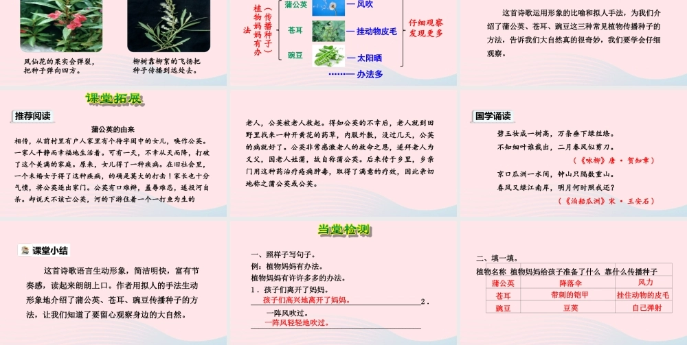 二年级语文上册 课文1 3《植物妈妈有办法》（第2课时）教学课件 新人教版-新人教版小学二年级上册语文课件