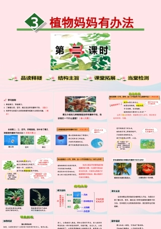 二年级语文上册 课文1 3《植物妈妈有办法》（第2课时）教学课件 新人教版-新人教版小学二年级上册语文课件