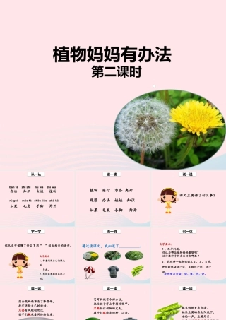 二年级语文上册 课文1 3《植物妈妈有办法》（第2课时）课件 新人教版