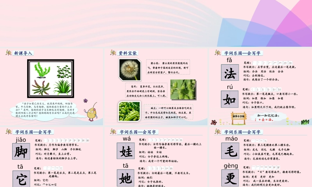 二年级语文上册 课文1 3《植物妈妈有办法》教学课件 新人教版-新人教版小学二年级上册语文课件