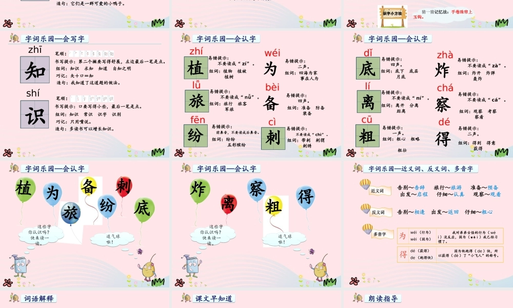二年级语文上册 课文1 3《植物妈妈有办法》教学课件 新人教版-新人教版小学二年级上册语文课件