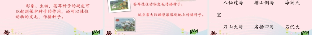 二年级语文上册 课文1 3《植物妈妈有办法》教学课件 新人教版-新人教版小学二年级上册语文课件