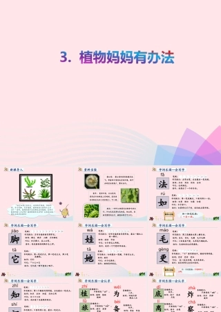 二年级语文上册 课文1 3《植物妈妈有办法》教学课件 新人教版-新人教版小学二年级上册语文课件