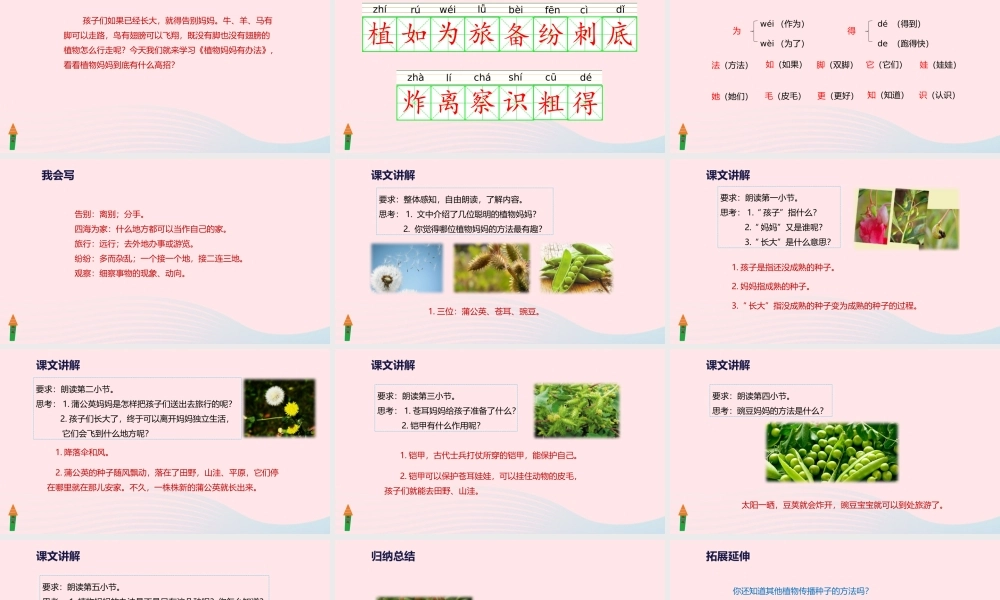 二年级语文上册 课文1 3《植物妈妈有办法》教学课件 新人教版-新人教级上册语文课件