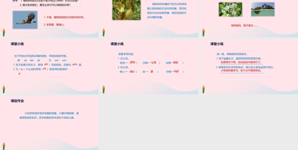 二年级语文上册 课文1 3《植物妈妈有办法》教学课件 新人教版-新人教级上册语文课件