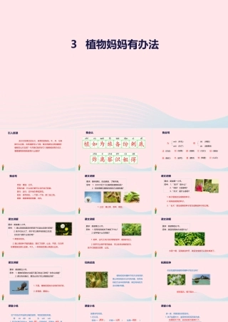 二年级语文上册 课文1 3《植物妈妈有办法》教学课件 新人教版-新人教级上册语文课件