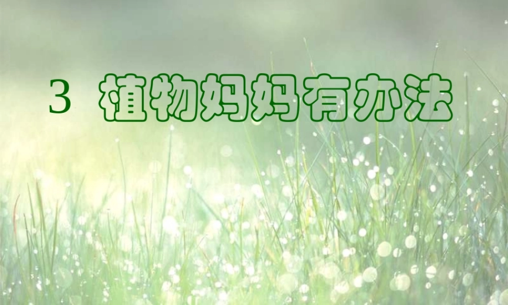 二年级语文上册 课文1 3《植物妈妈有办法》课堂教学课件 新人教版-新人教版小学二年级上册语文课件